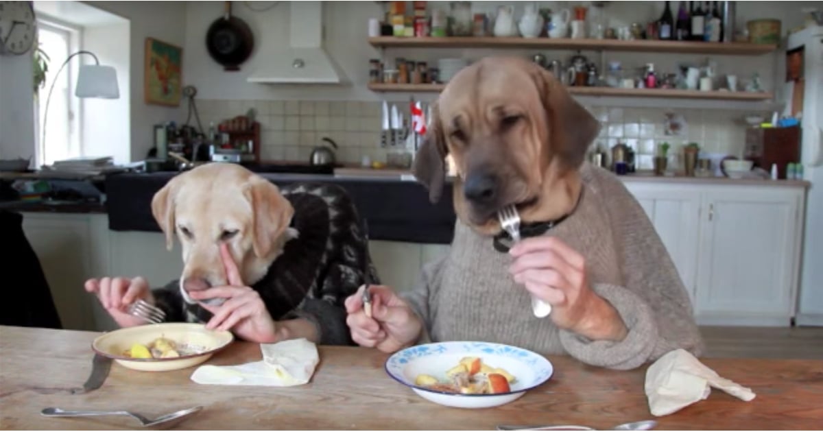 Dogs Eating With Human Hands | POPSUGAR 