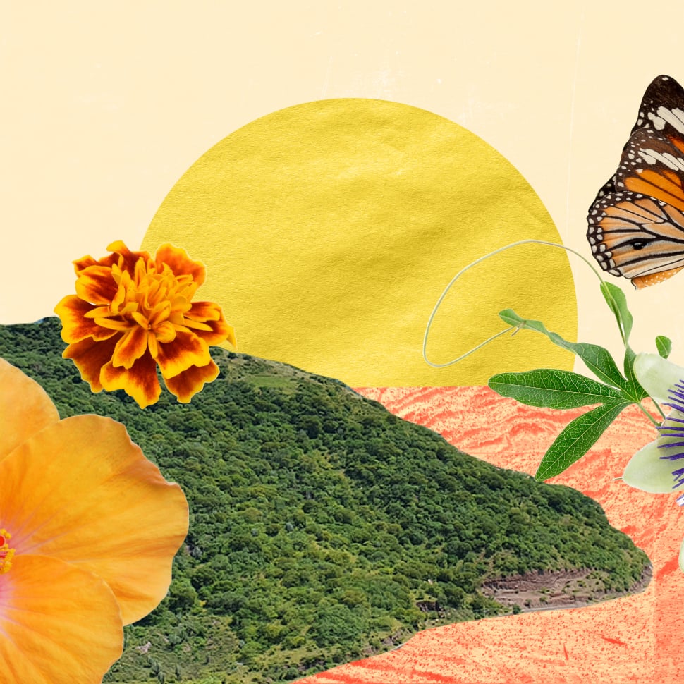 Introducing De la Editora, the Latine Newsletter That Brings Our Community Together