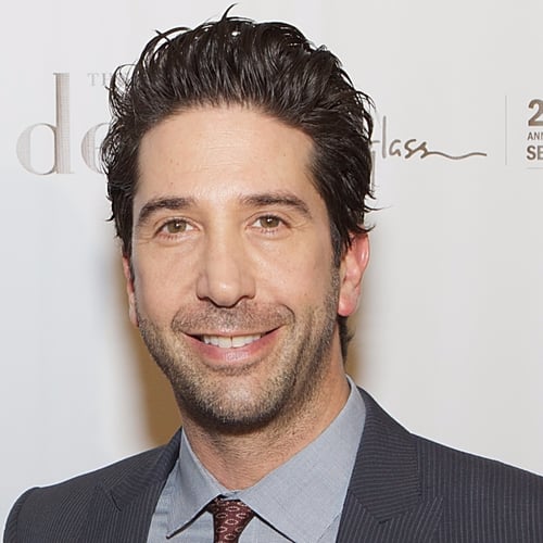 David Schwimmer | POPSUGAR Celebrity