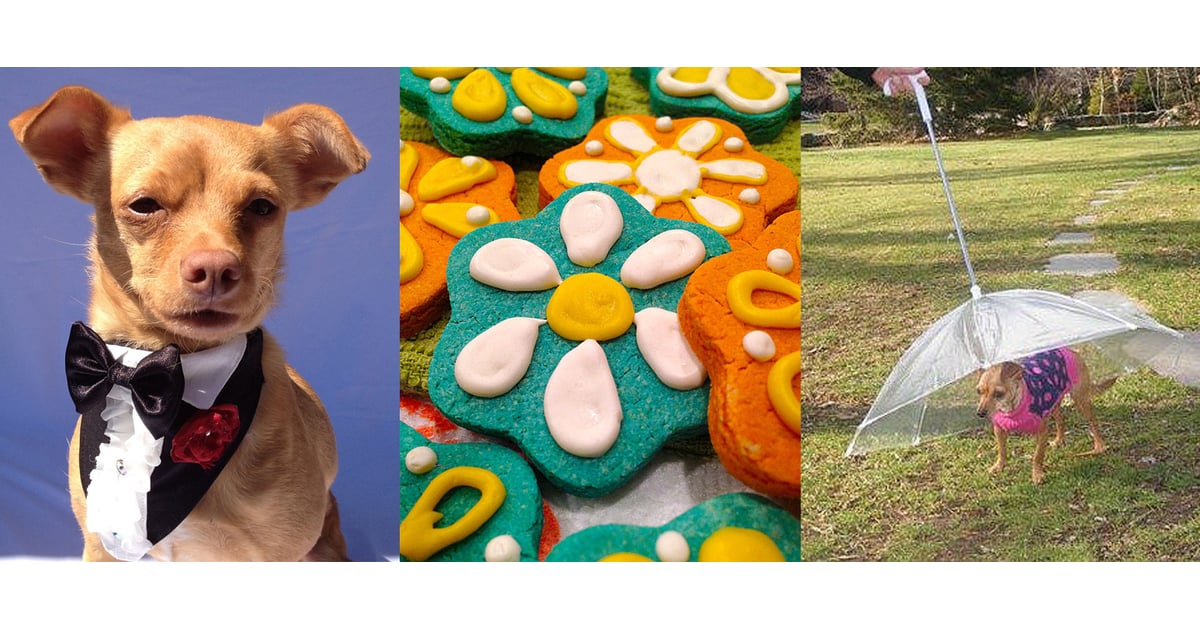 The Best Pet Products April 2014 POPSUGAR Pets