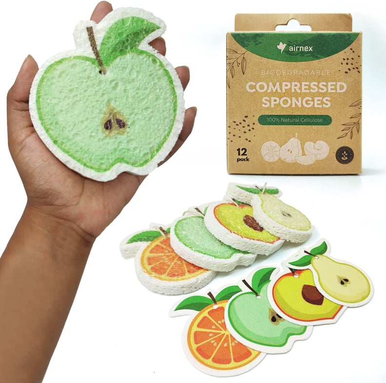 Best Reusable Sponges