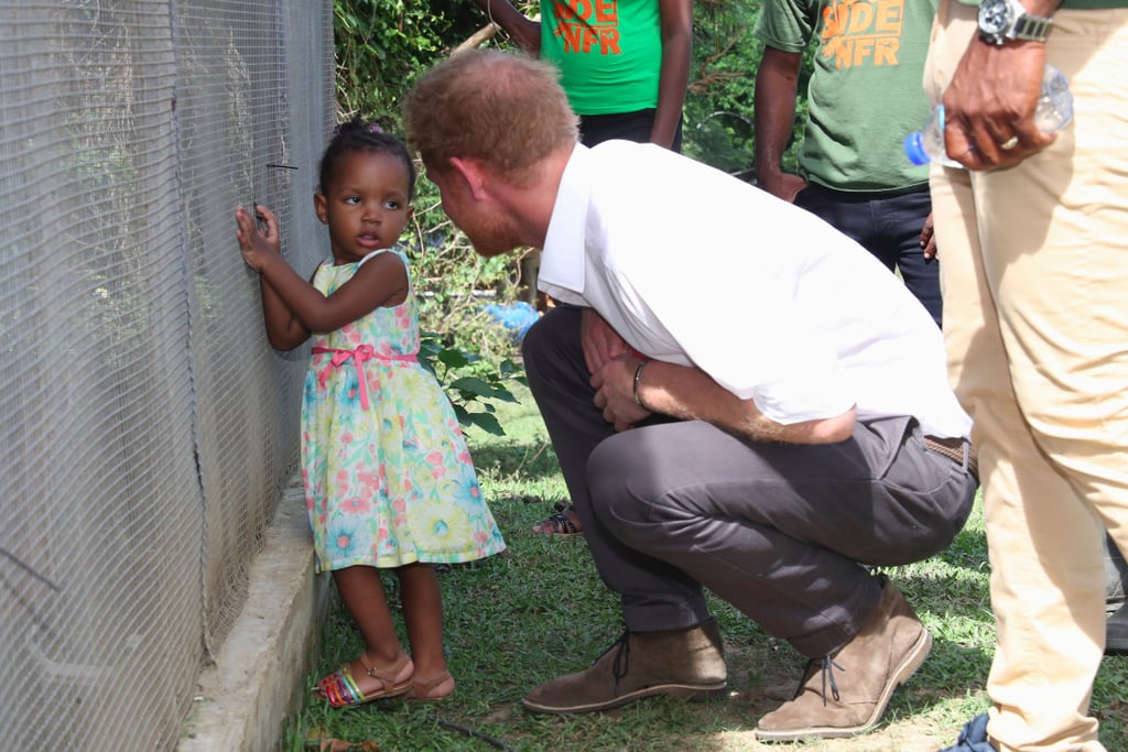 Prince Harry at Nature Fun Ranch in Barbados December 2016