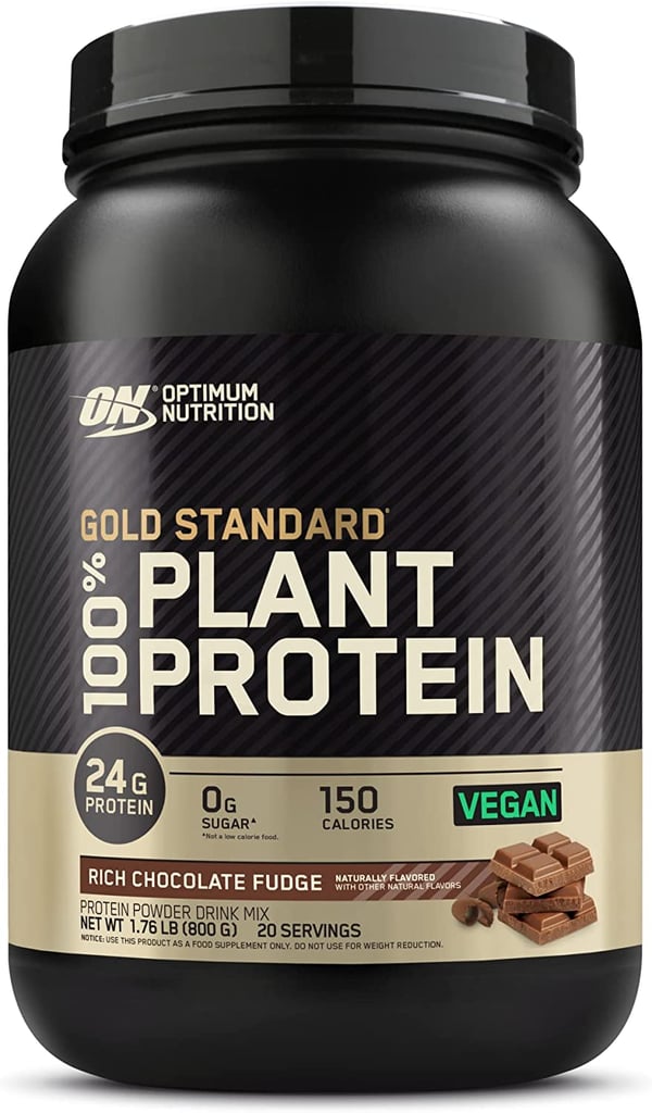 Best Chocolate Protein Powder