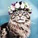 Stunning Photos of Cats Wearing Floral Crowns