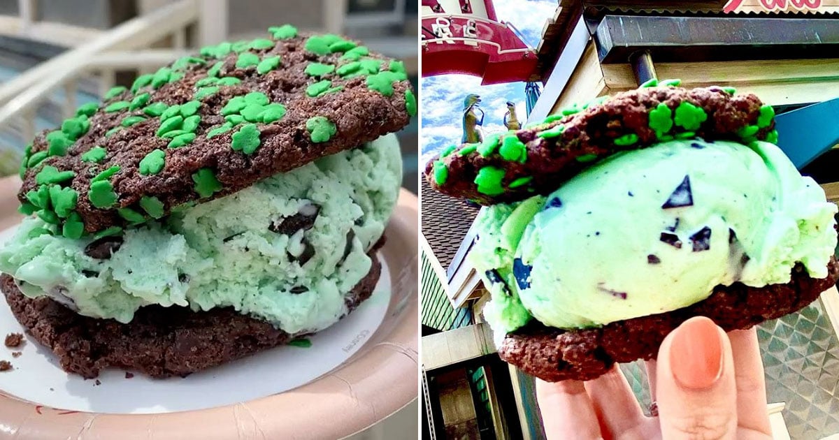 mint ice cream sandwich protein powder