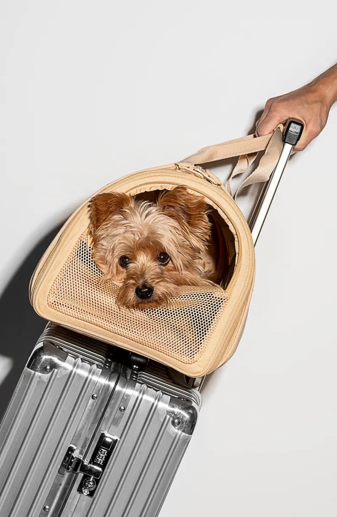My Sister: Wild One Air Travel Dog Carrier