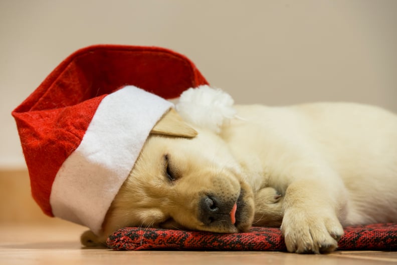 One Sleepy Santa