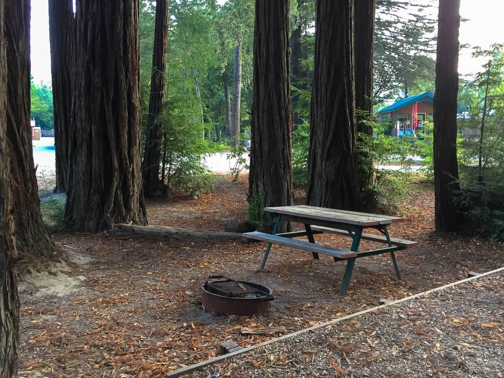 If you want the ultimate redwood experience, why not take reconnecting with nature one step further and camp among these towering tall trees? Sound enticing? Then make sure to check out Giant Redwoods RV & Camp. Nestled in the small town of Myers Flat, this campground not only provides stunning views, but it's also conveniently located right off the Avenue of the Giants.