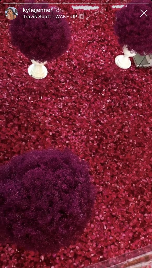 Travis Scott Covers Kylie Jenner's House in Rose Petals 2019