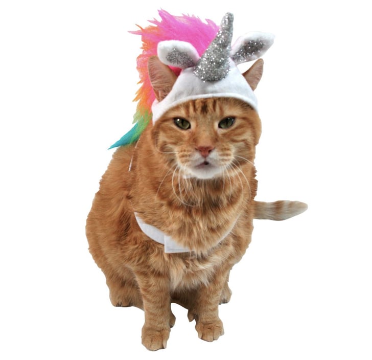 Unicorn Cat Costume | Cheap Pet Costumes | POPSUGAR Smart Living Photo 4