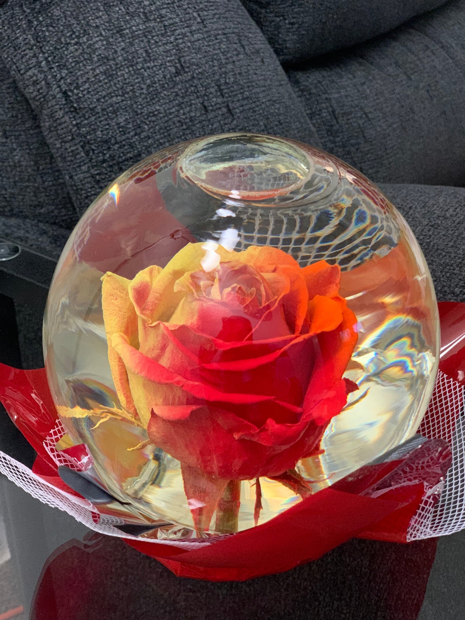 Rose in a globe new arrivals