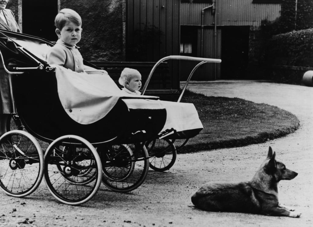 Prince George Is Basically a Young Prince Charles