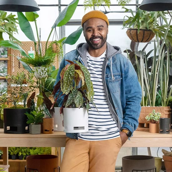 Hilton Carter For Target Home and Plant Collection