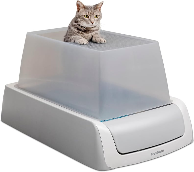 Best Self-Cleaning Litter Box With Top Entry