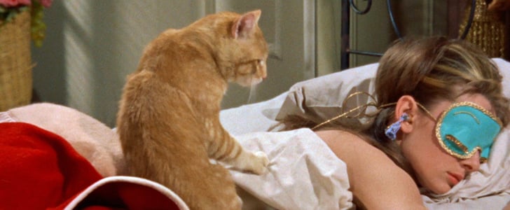 Cat Lady GIFs