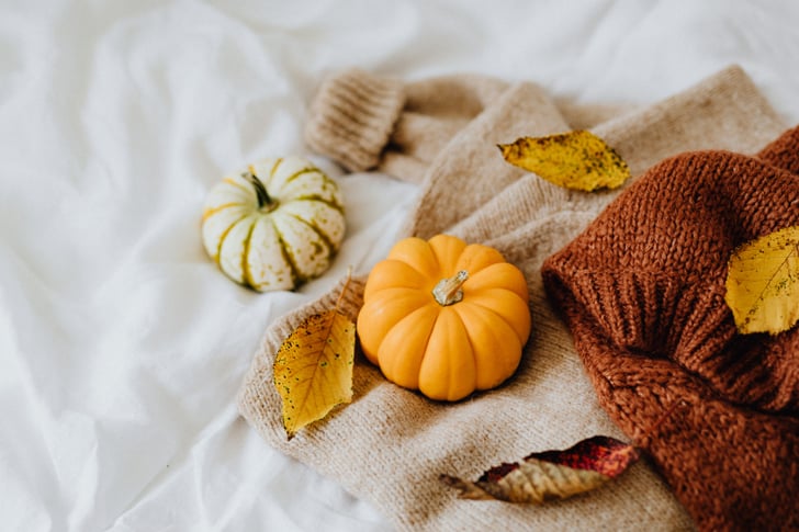 Sweater Zoom Background | Download Free Thanksgiving Zoom Backgrounds | POPSUGAR Tech Photo 12