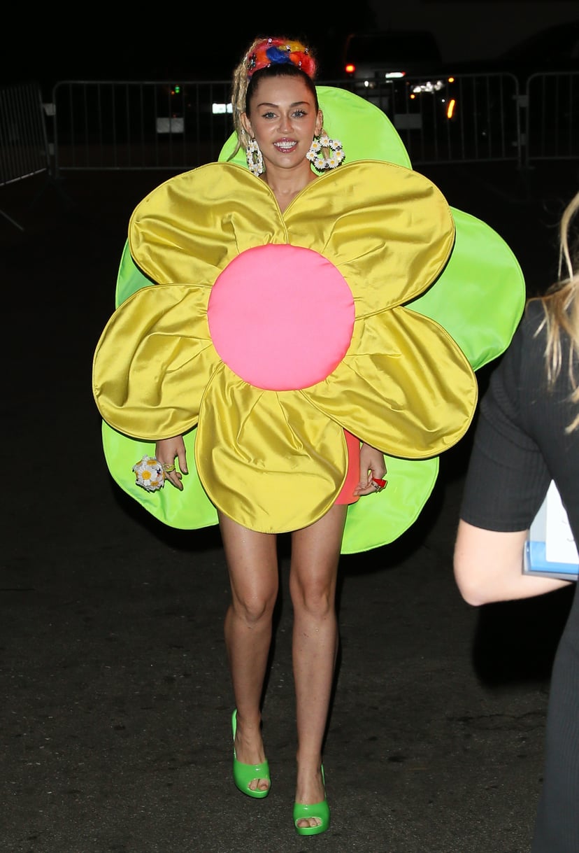 Miley Cyrus at James Franco's Bar Mitzvah | POPSUGAR Celebrity