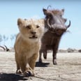 Donald Glover, Seth Rogen, and Billy Eichner Sing "Hakuna Matata" in New Lion King Featurette