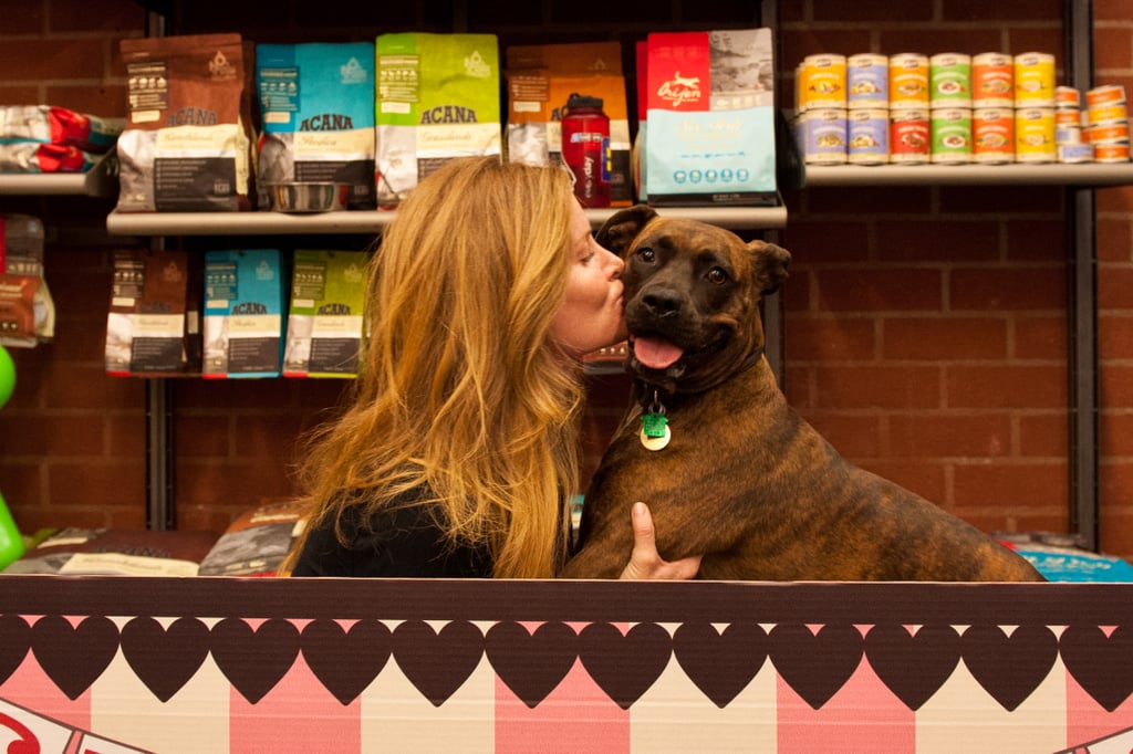 Dog Kissing Booth