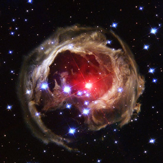 Picture of a Dying Star