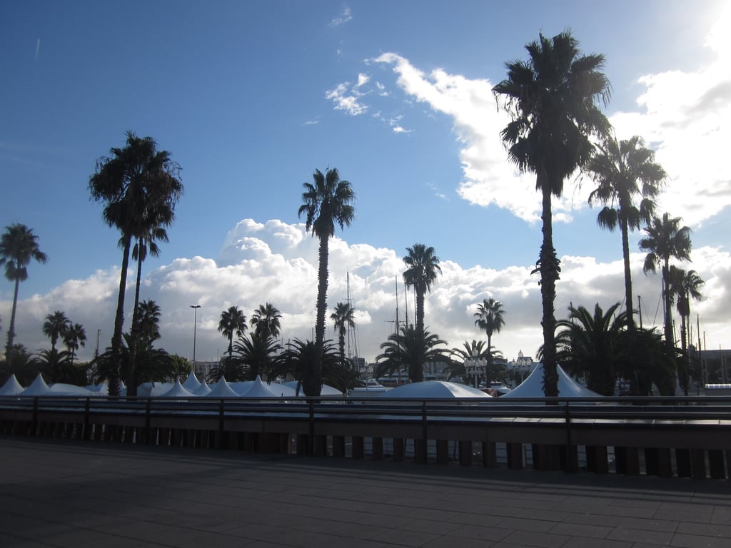 Things to Do in Barcelona