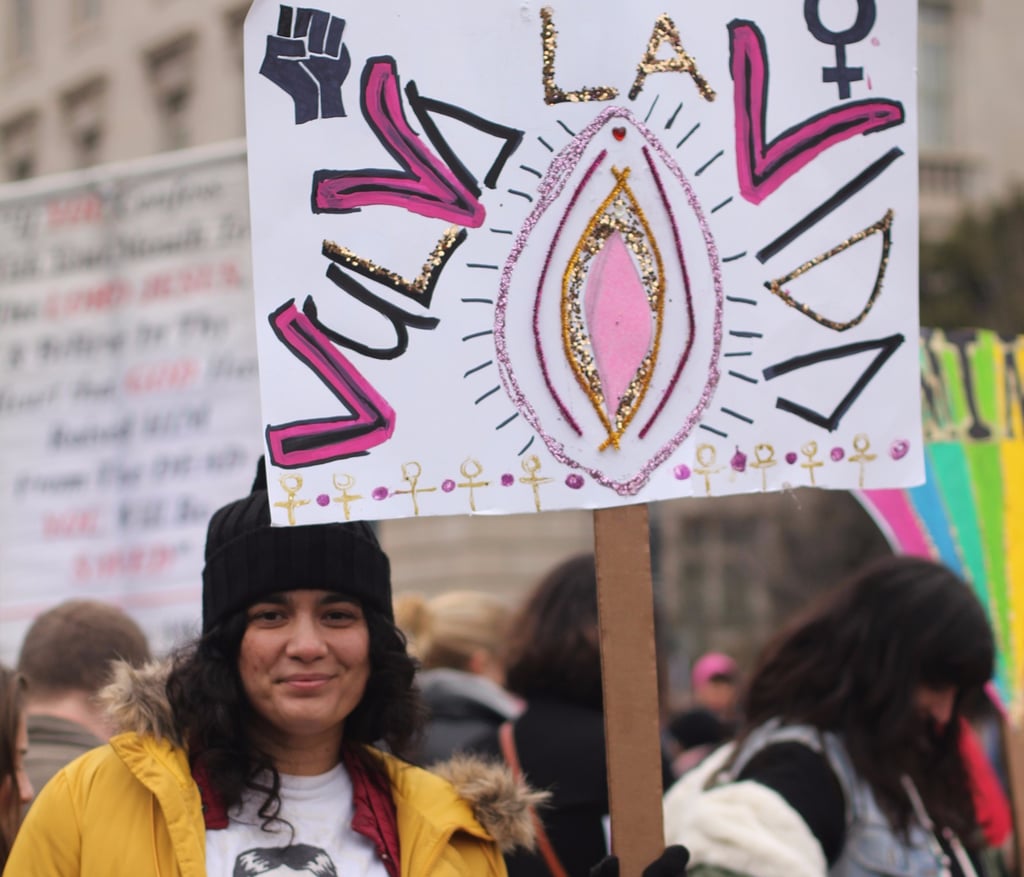 Photos of Women at the Women's March in Washington DC