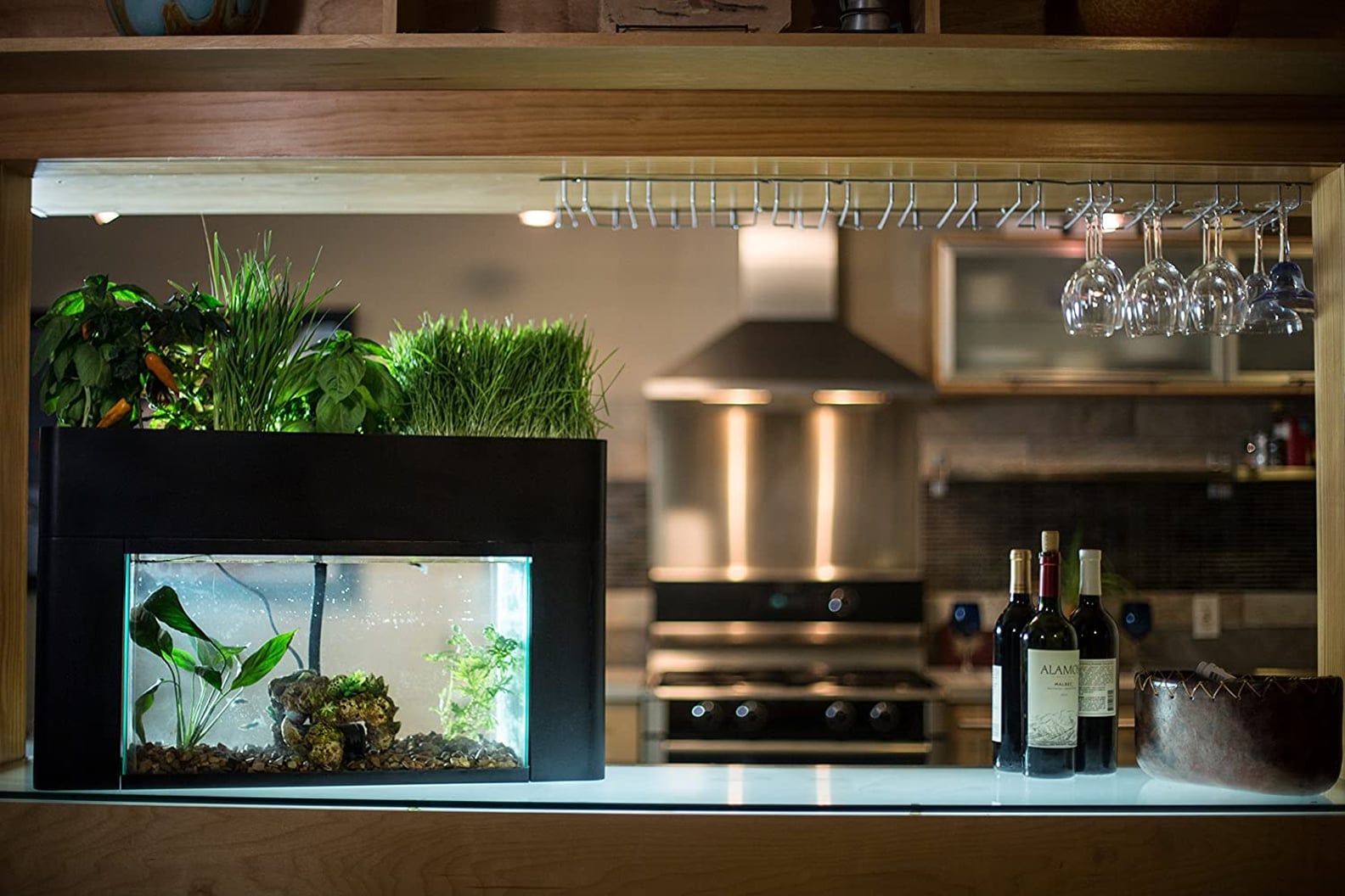 Best Pets Products on Amazon Launchpad POPSUGAR Smart Living