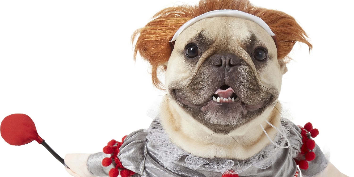 Bulldog sales pennywise costume