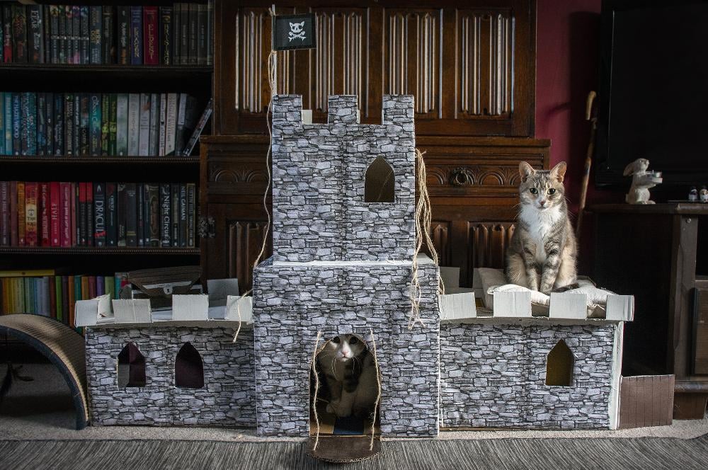 DIY a magical castle.