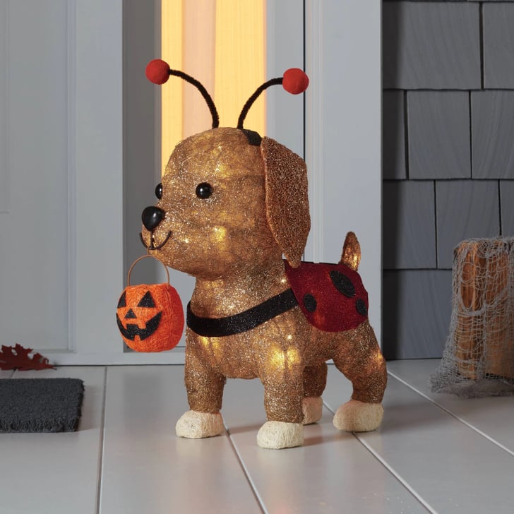 Ladybug Dog Incandescent Sisal Light Up Halloween Decor Shop Target's