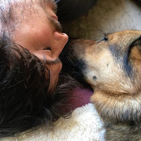 Ian Somerhalder and Nikki Reed's Dog Dies