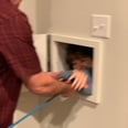 A Mom Locked Out of Her Laundry Room Scaled the Laundry Chute With a Harness, and I'm Very Impressed