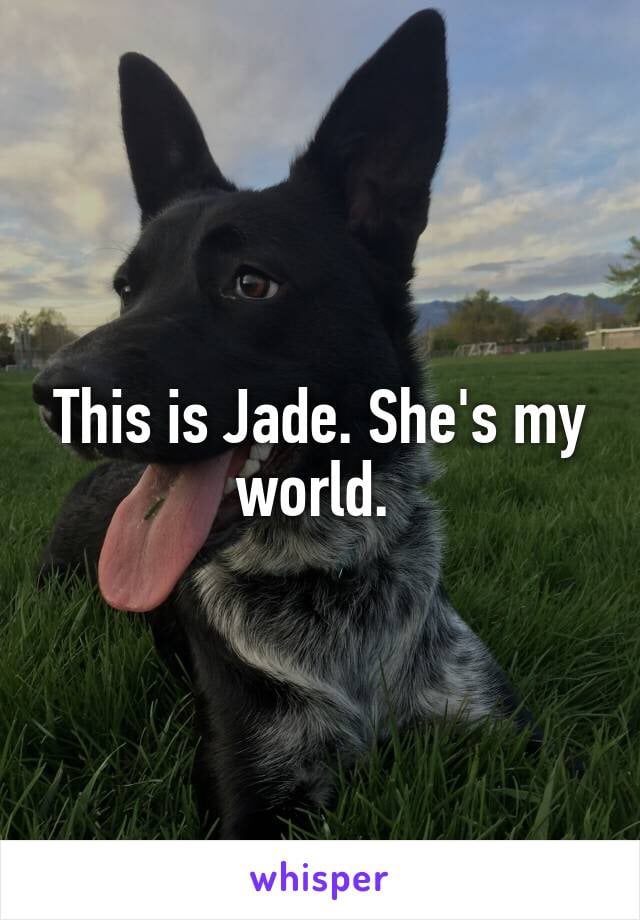Dog-Lovers on Whisper