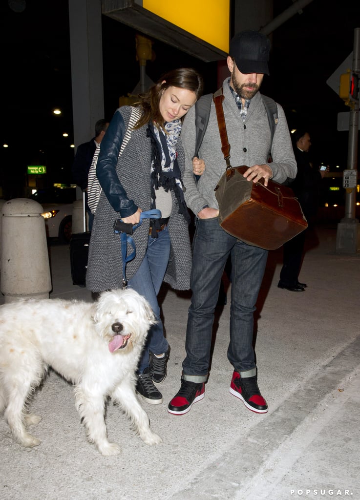Olivia Wilde and Jason Sudeikis With Their Dog in NYC