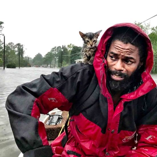 Photo of Man Rescuing a Kitten During Hurricane Florence