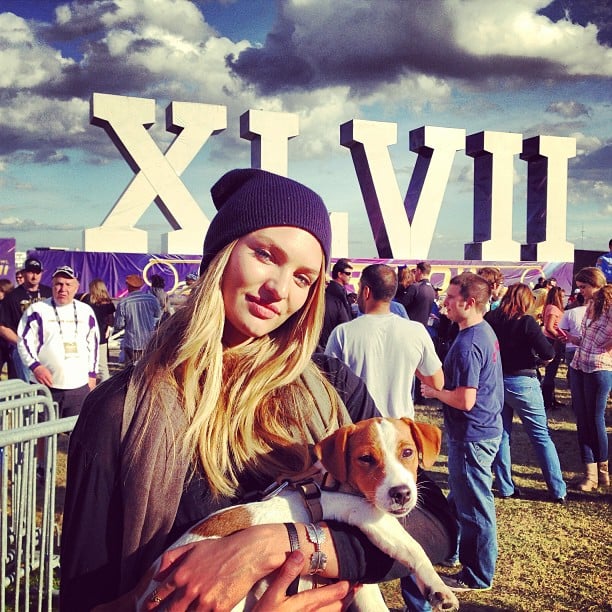 Candice Swanepoel brought a dog to the Super Bowl in New Orleans in January 2013.
Source: Instagram user angelcandices