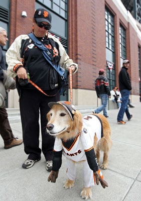 Pictures of San Francisco Giants Dog 