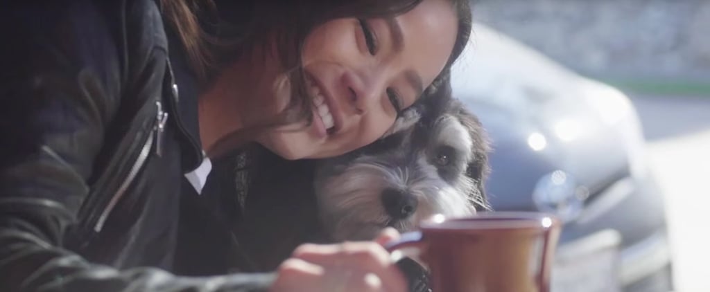 Jamie Chung's Dog, Ewok | Video