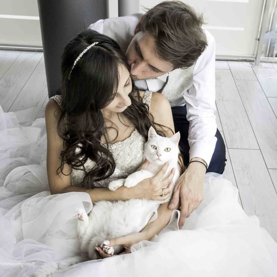 Wedding Photos With Cats
