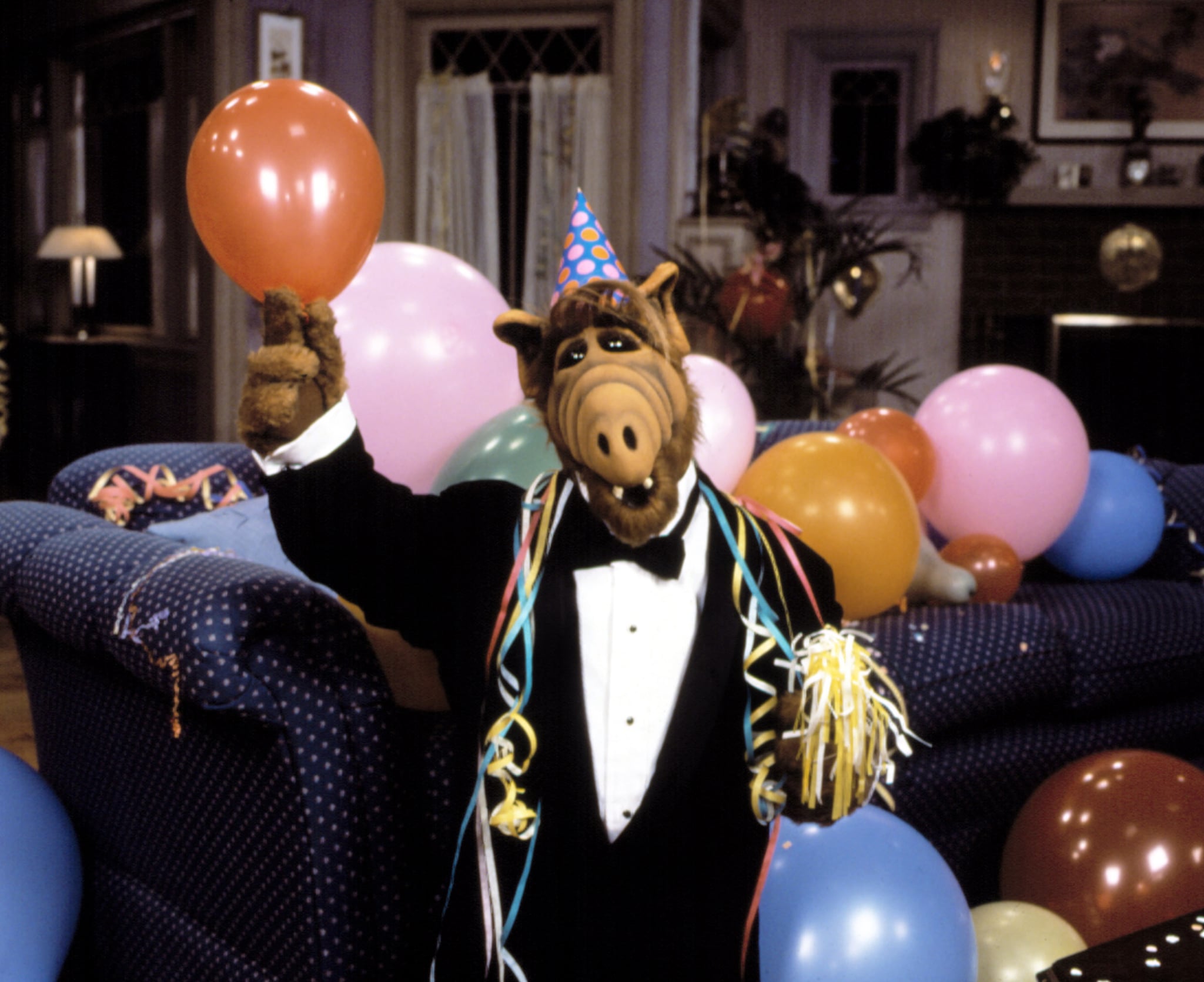 ALF, Alf, 1986-90,  Alien Productions / Courtesy: Everett Collection