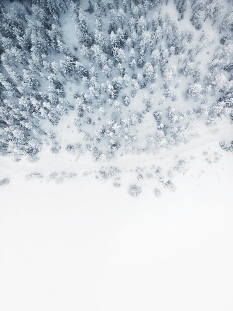 15+ Beautiful Photos of Winter