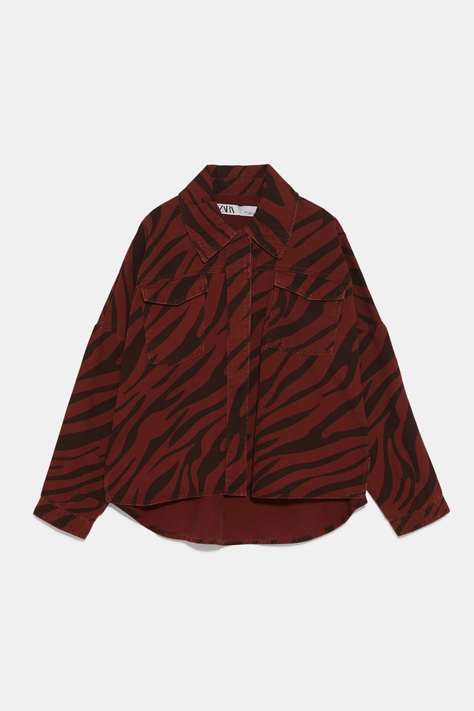 zebra jacket zara