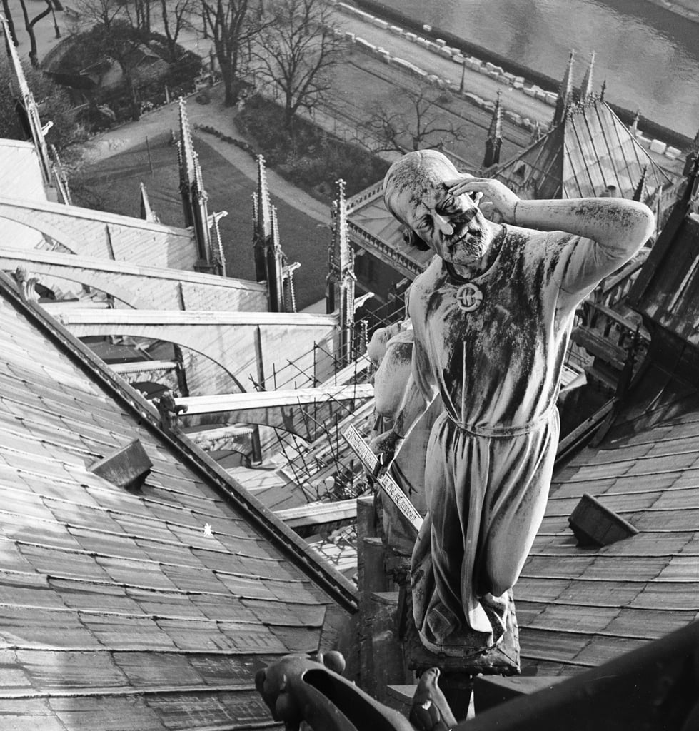 Saved by the Hunchback