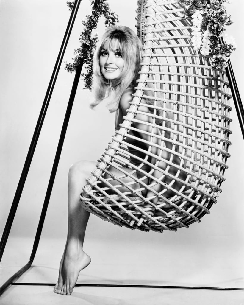 Sharon Tate Pictures