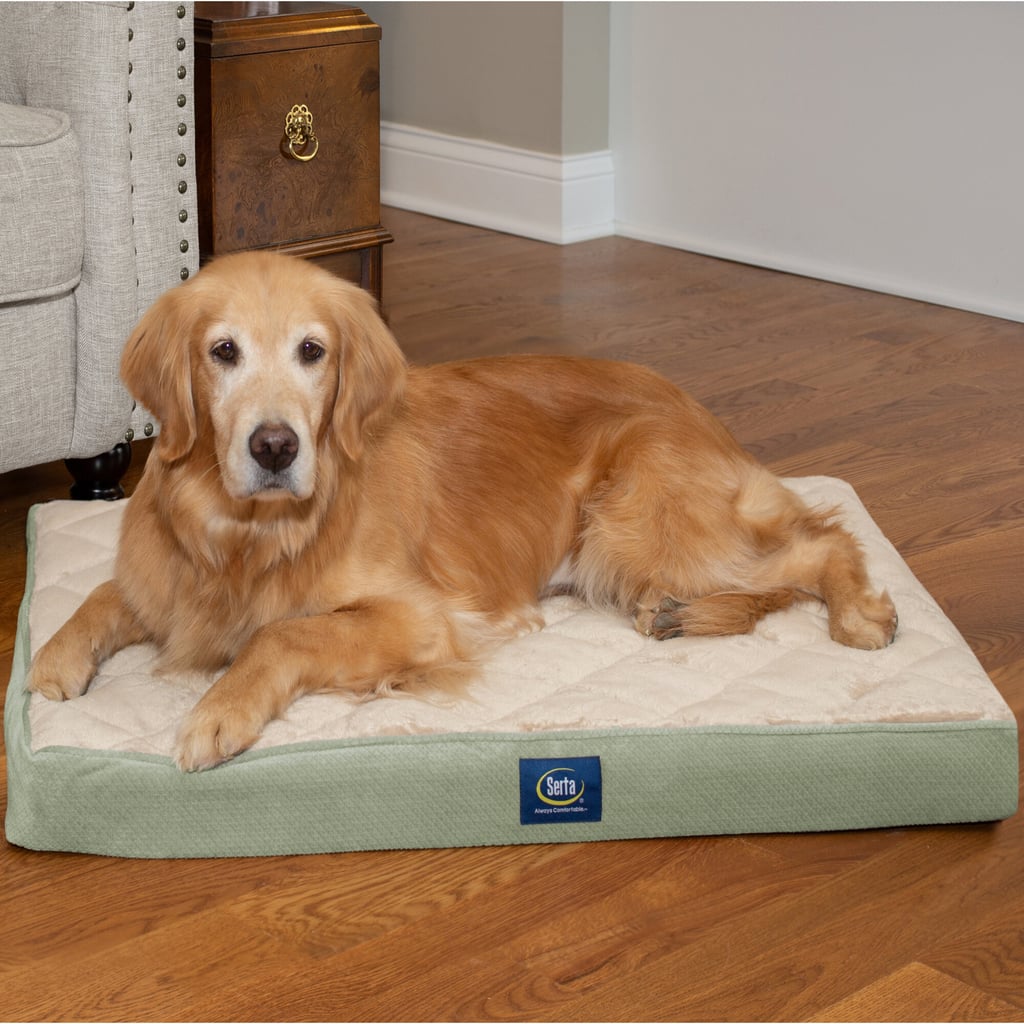 Pet Quilted Pillowtop Ortho Pet Bed