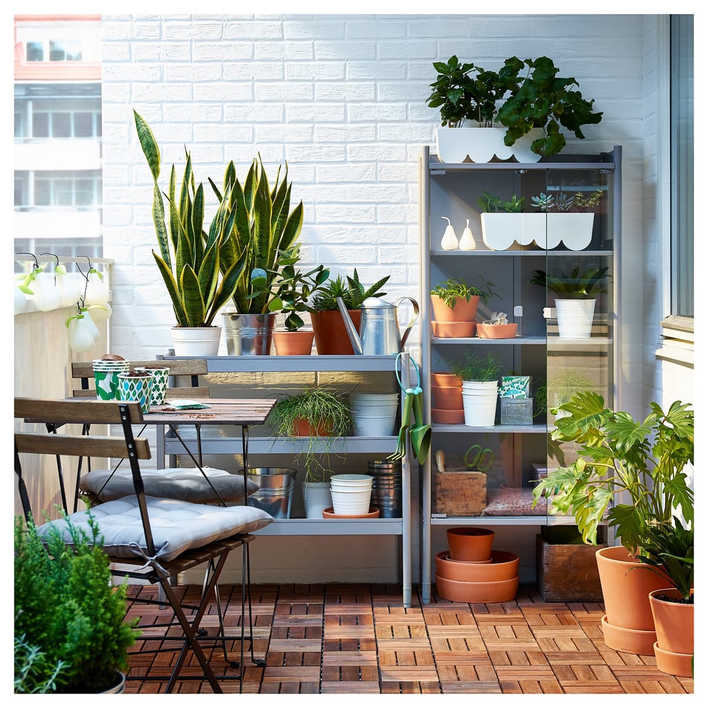 Hindö Greenhouse Cabinet