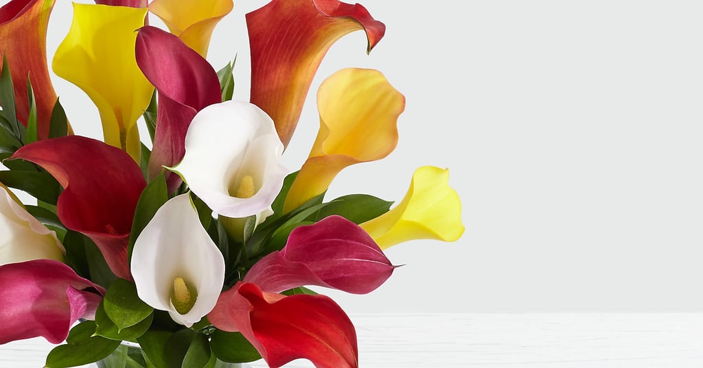 Assorted Mini Calla Lilies