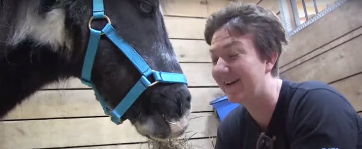 PETA Rescues Abandoned Pony