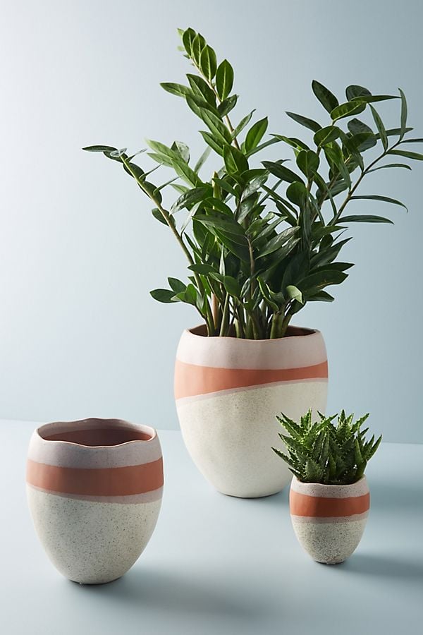 Rosado Pots