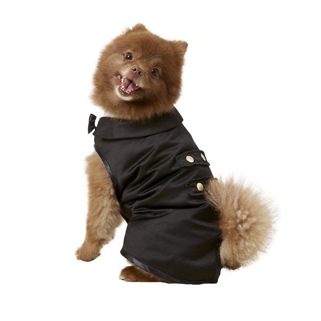 Frisco Formal Dog & Cat Tuxedo